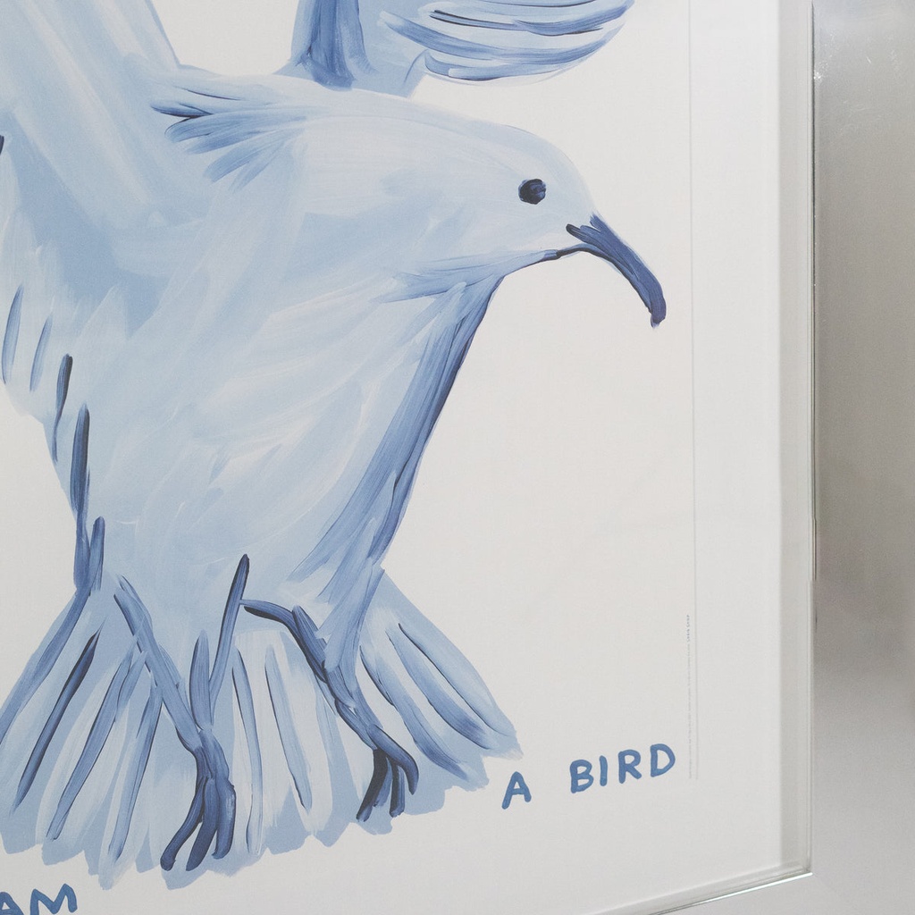 David Shrigley Print, UNTITLED ‘I DID NOT ASK TO BE A BIRD' — view 2