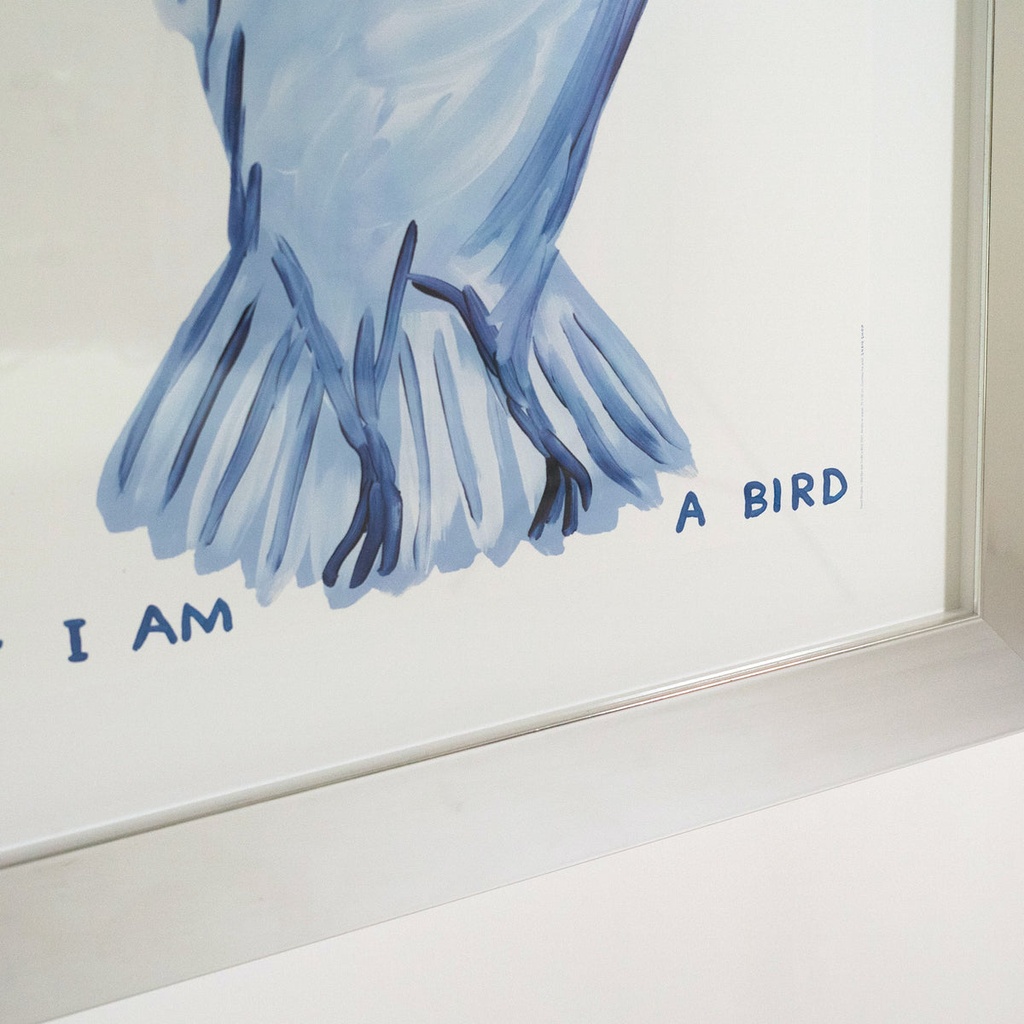 David Shrigley Print, UNTITLED ‘I DID NOT ASK TO BE A BIRD' — view 3