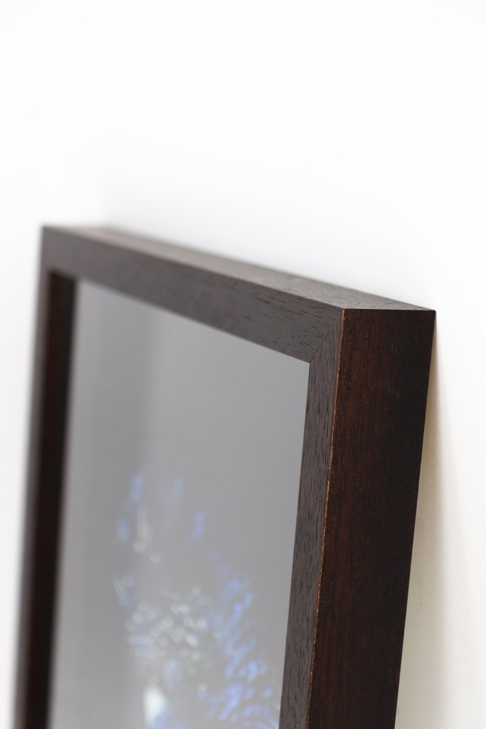 Blue Parrot in Dark Timber Frame — view 2