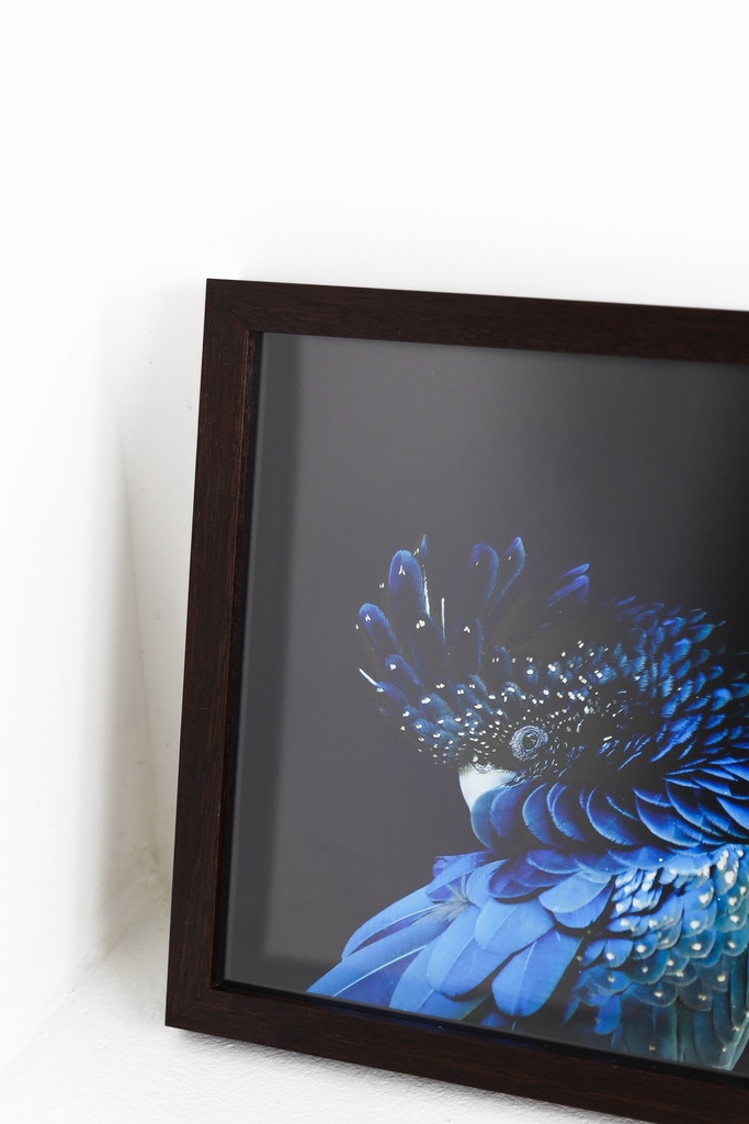 Blue Parrot in Dark Timber Frame — view 3